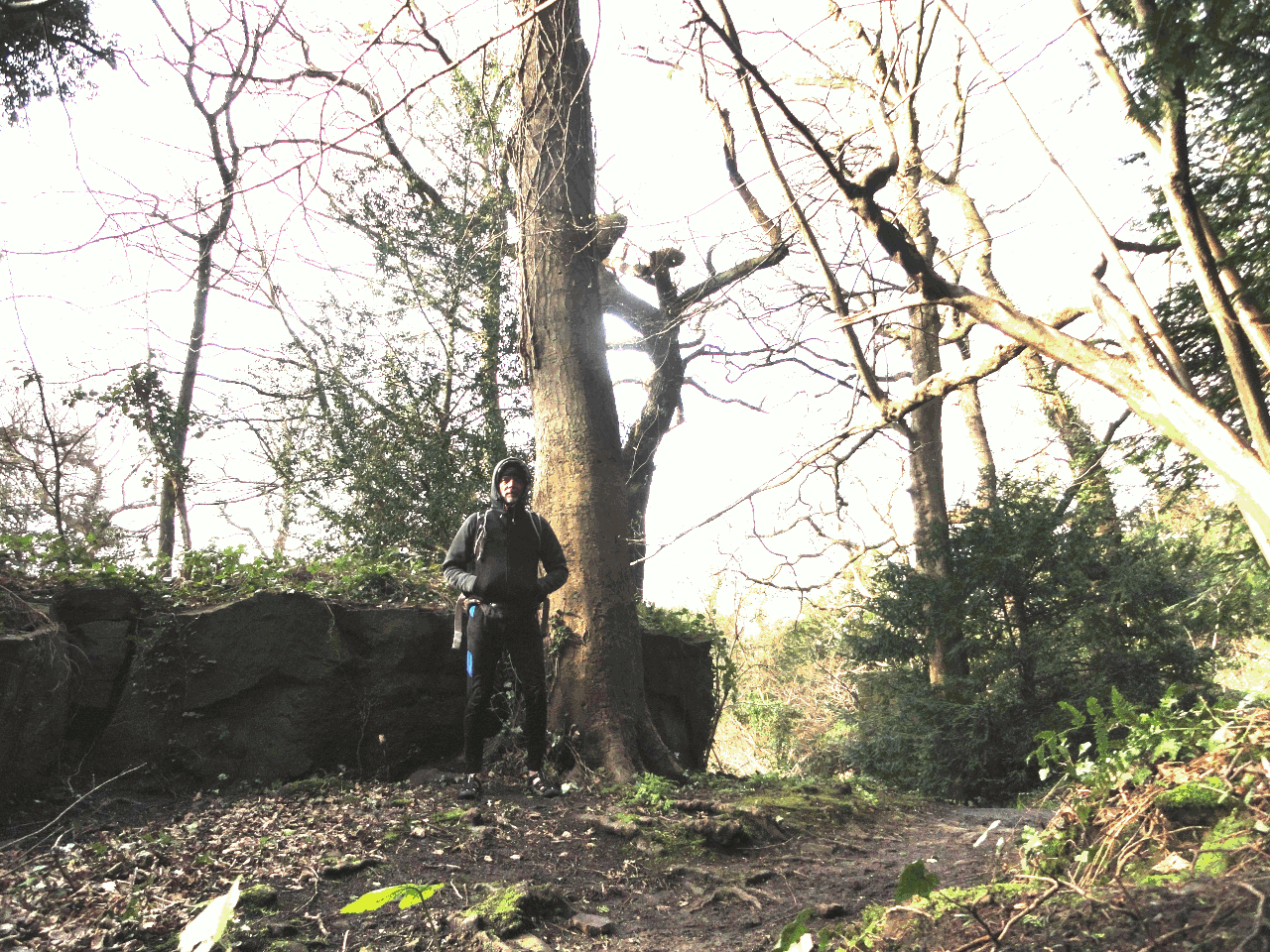 Climbing